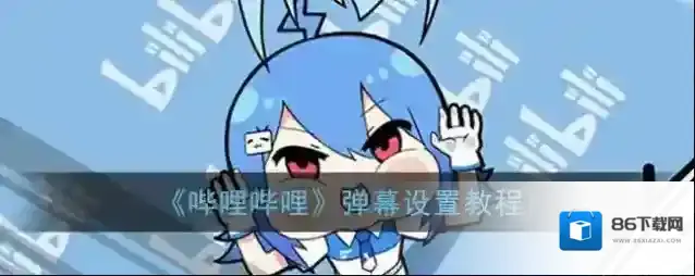 哔哩哔哩选项