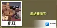 疯狂动物园图鉴