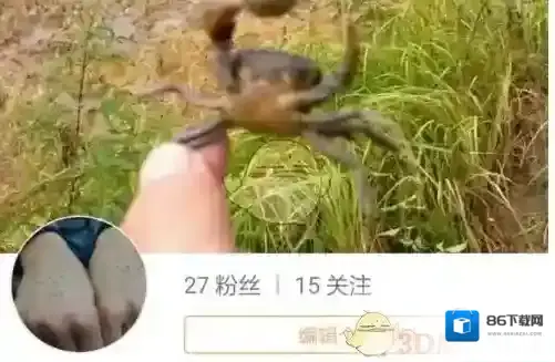 快手点击