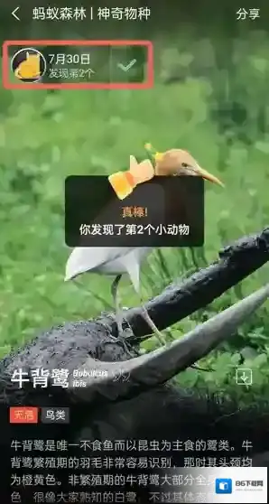 支付宝爱好者