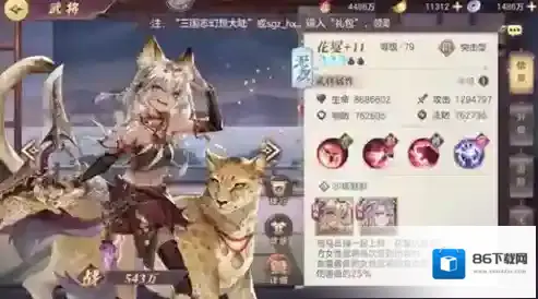三国志幻想大陆马云禄