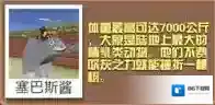 疯狂动物园大象
