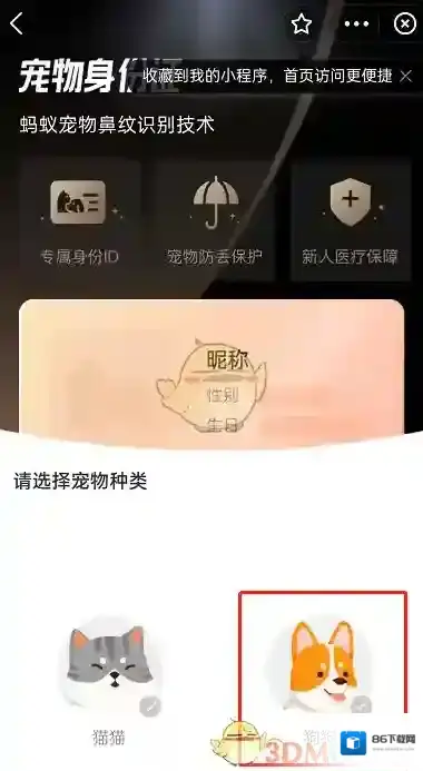 支付宝信息