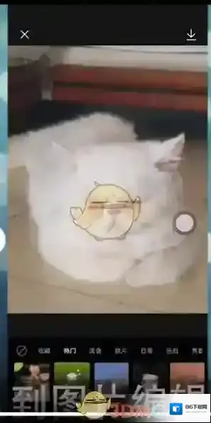 醒图点击