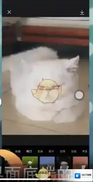 醒图照片