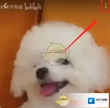 哔哩哔哩竖屏