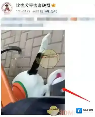 微博收藏