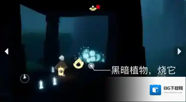 光遇瓣花
